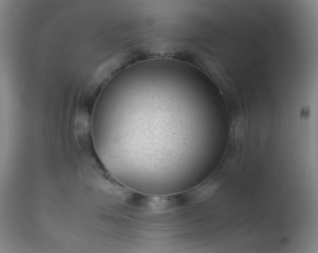 X0000112510623200908241421