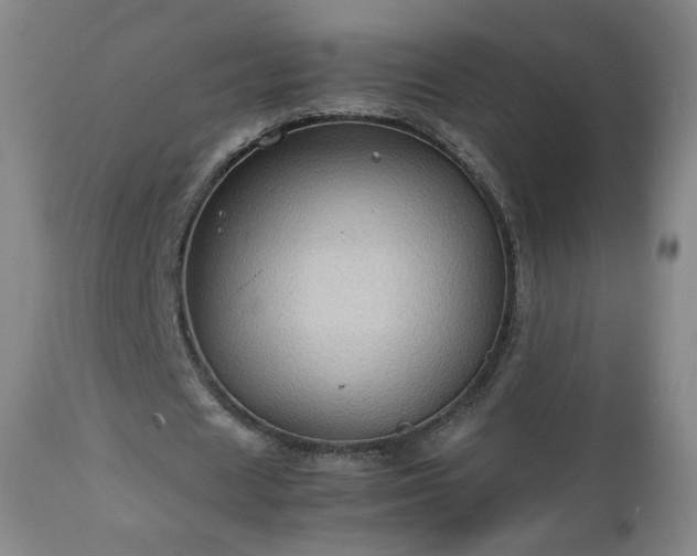 X0000112510625200908241420