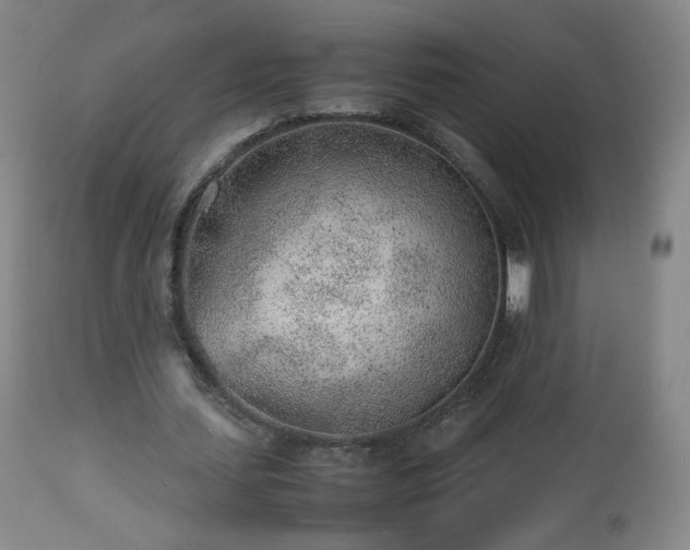 X0000112510627200908241420