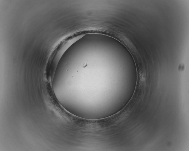 X0000112510628200908241420