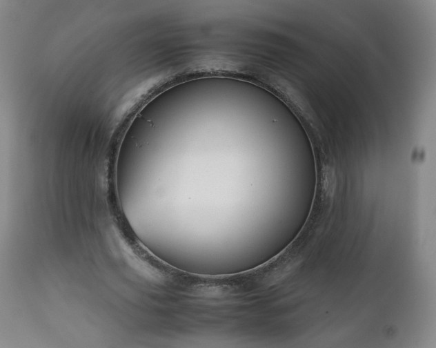 X0000112510629200908241420