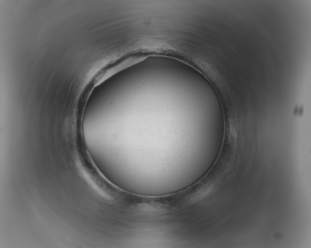 X0000112510630200908241420