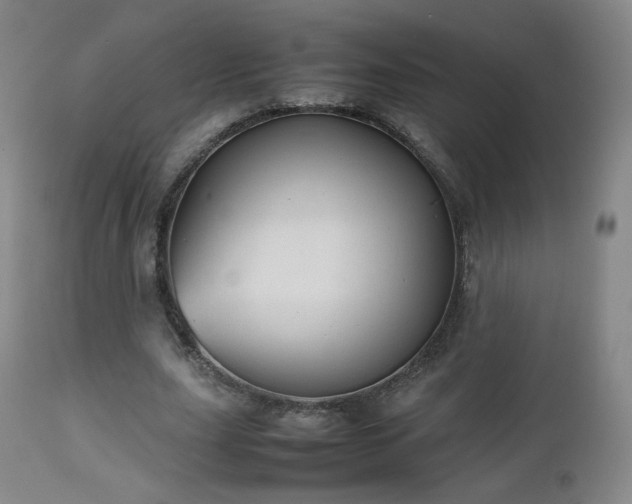 X0000112510631200908241420