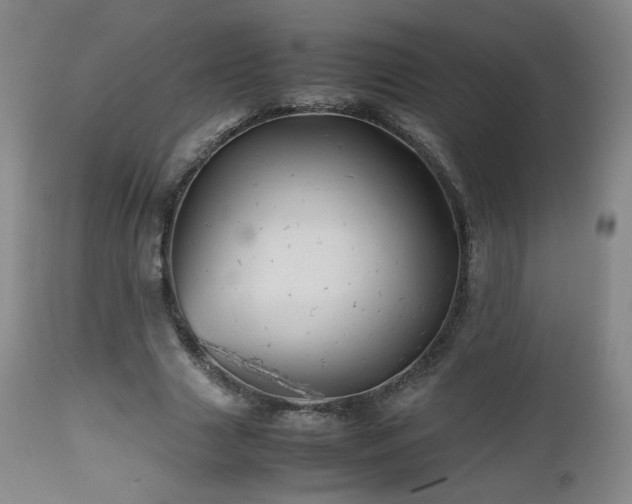 X0000112510633200908241421