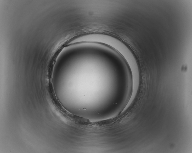 X0000112510634200908241421