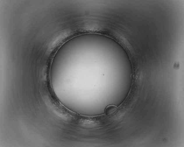 X0000112510635200908241421