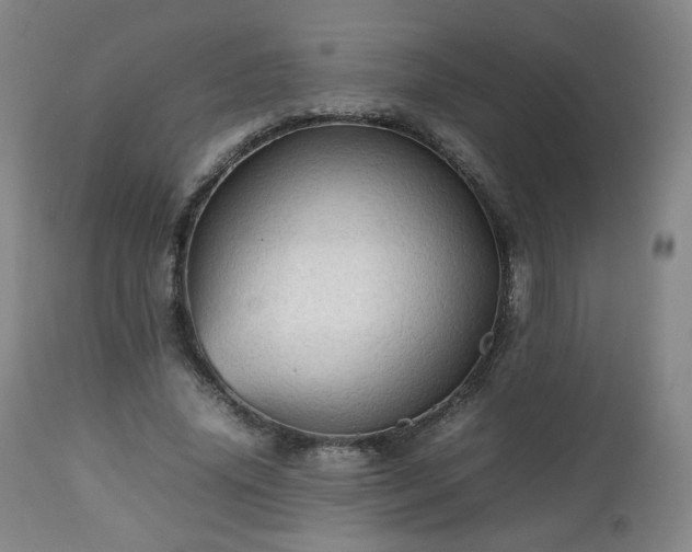 X0000112510636200908241421