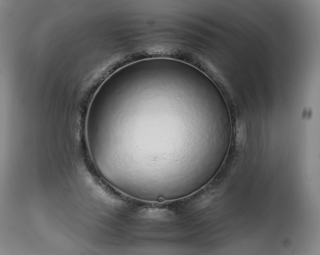 X0000112510637200908241421