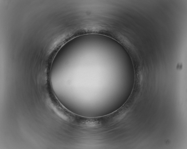 X0000112510638200908241421