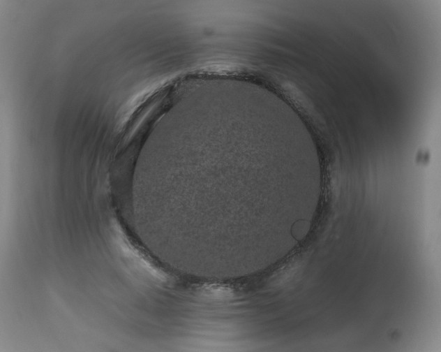 X0000112510640200908241421