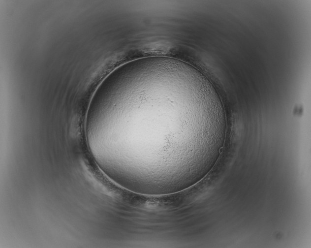 X0000112510641200908241421