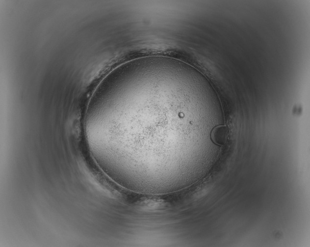 X0000112510642200908241421