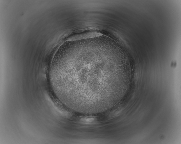 X0000112510643200908241421