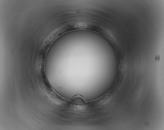 X0000112510645200908241421