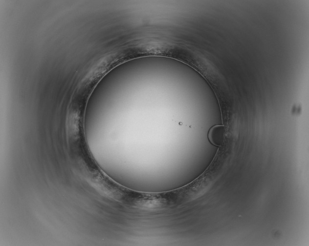 X0000112510646200908241421