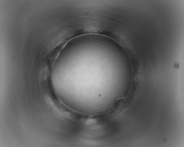 X0000112510647200908241421