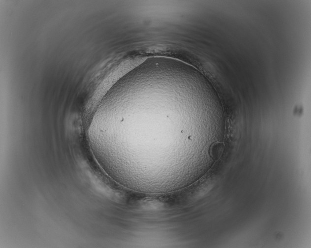 X0000112510648200908241421