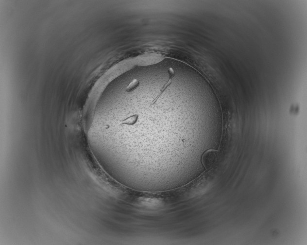 X0000112510649200908241421