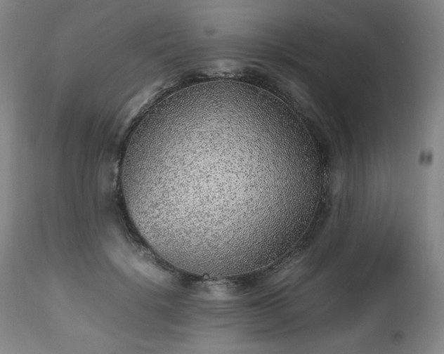 X0000112510652200908241421