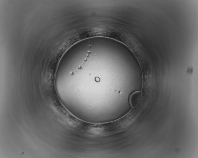 X0000112510653200908241421