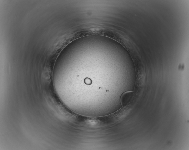 X0000112510654200908241421