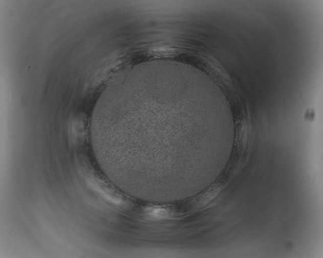 X0000112510655200908241421