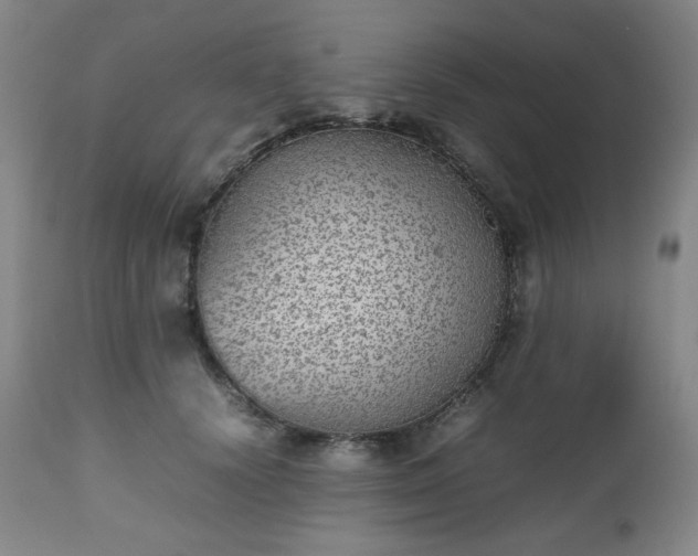 X0000112510656200908241421