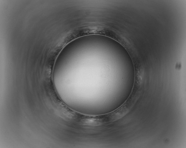 X0000112510657200908241421