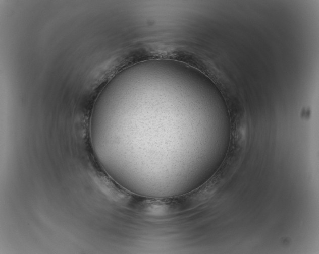 X0000112510658200908241421