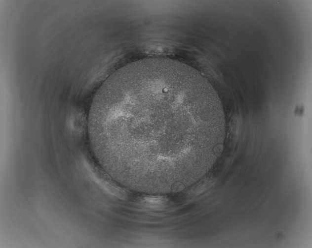 X0000112510659200908241421