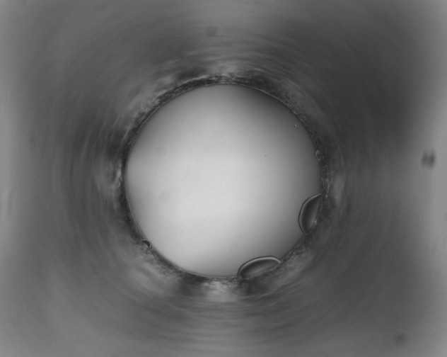 X0000112510660200908241421