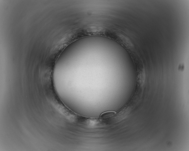 X0000112510662200908241421