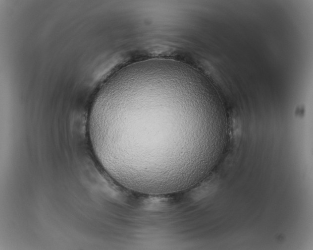 X0000112510664200908241421