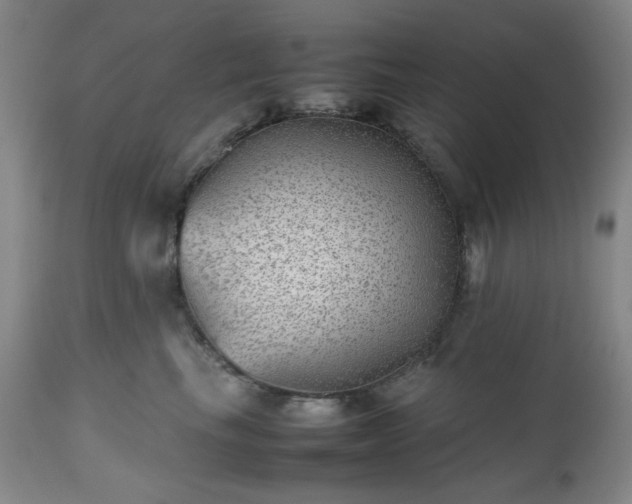 X0000112510665200908241421