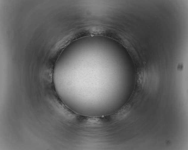 X0000112510666200908241421