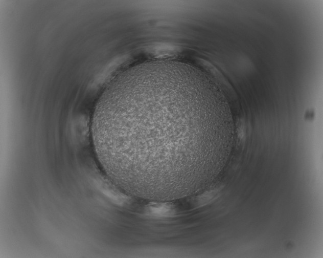 X0000112510667200908241421