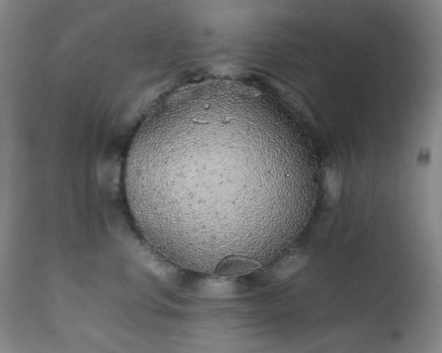 X0000112510668200908241421