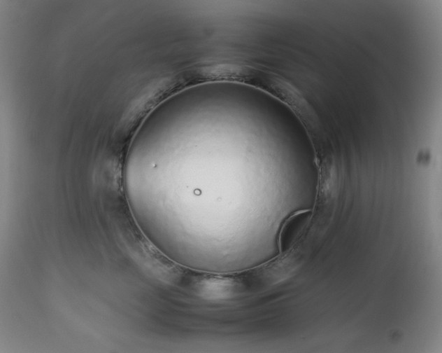 X0000112510669200908241421