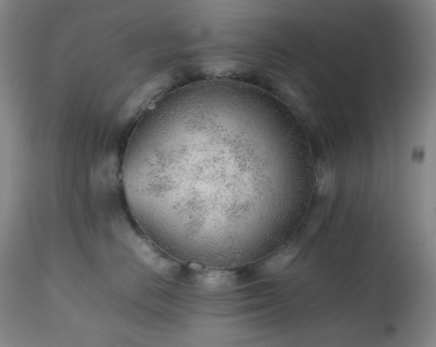 X0000112510670200908241421