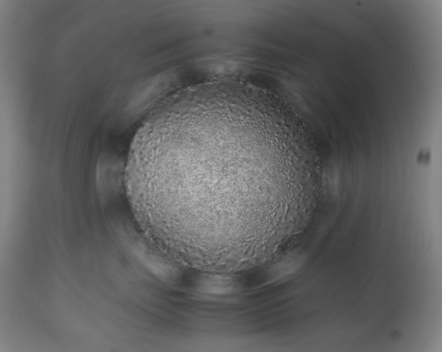 X0000112510671200908241421