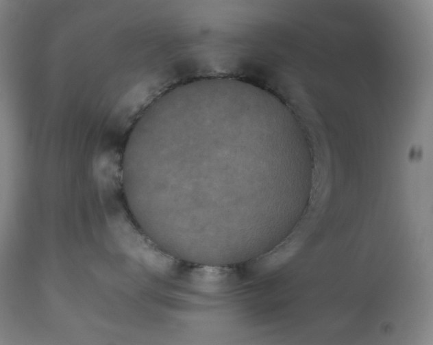 X0000112510672200908241421