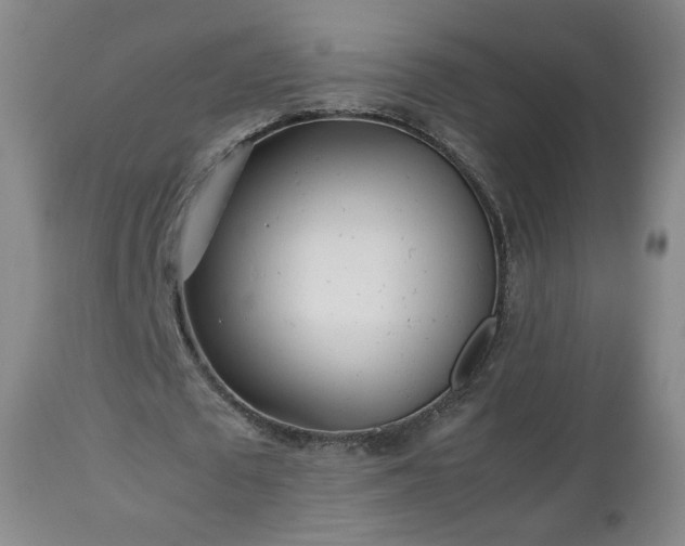 X0000112510673200908241420