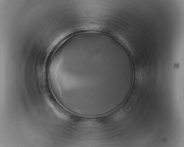 X0000112510674200908241420