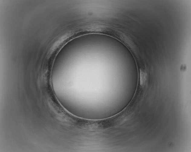 X0000112510675200908241420