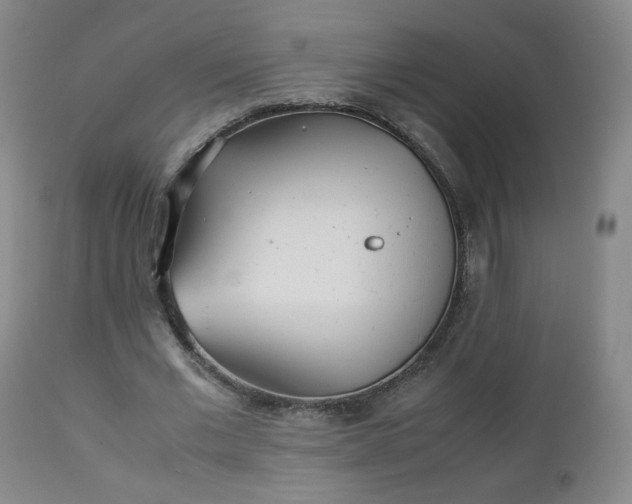 X0000112510677200908241420