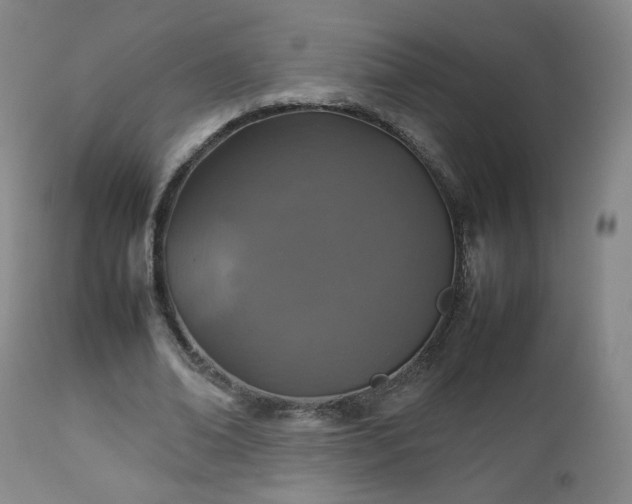 X0000112510678200908241420