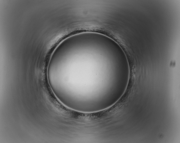 X0000112510679200908241420