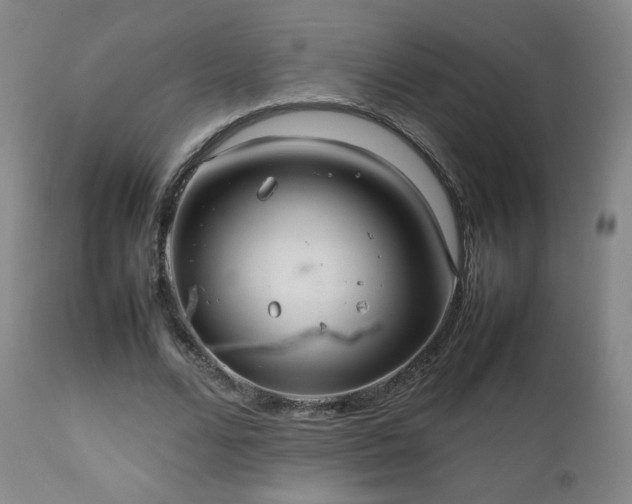 X0000112510680200908241420