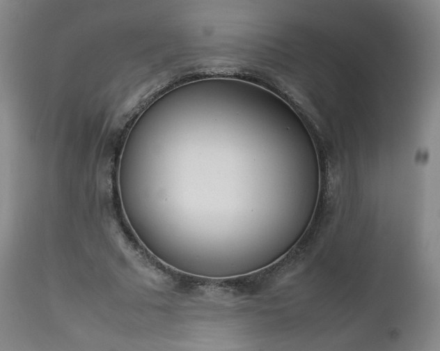 X0000112510681200908241420