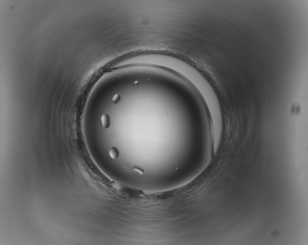 X0000112510684200908241420